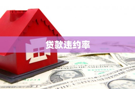 正镶白旗贷款违约率