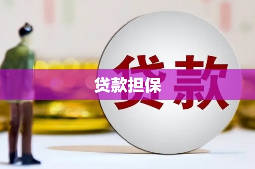 正镶白旗贷款担保