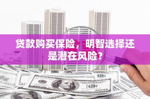 正镶白旗贷款购买保险，明智选择还是潜在风险？