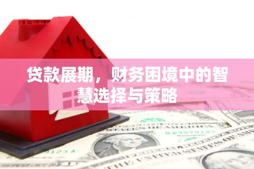正镶白旗贷款展期，财务困境中的智慧选择与策略