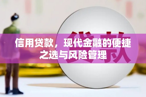 正镶白旗信用贷款，现代金融的便捷之选与风险管理