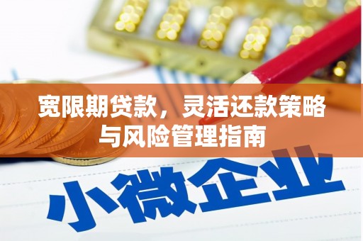 正镶白旗宽限期贷款，灵活还款策略与风险管理指南