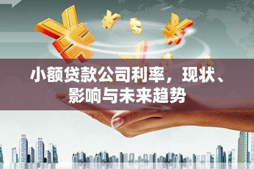 正镶白旗小额贷款公司利率，现状、影响与未来趋势