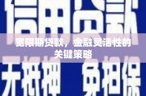 正镶白旗宽限期贷款，金融灵活性的关键策略