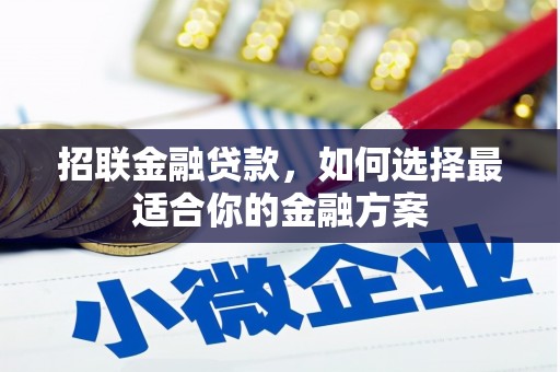 正镶白旗招联金融贷款，如何选择最适合你的金融方案