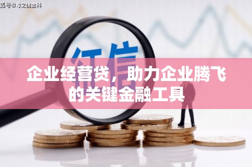 正镶白旗企业经营贷，助力企业腾飞的关键金融工具