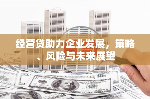 正镶白旗经营贷助力企业发展，策略、风险与未来展望