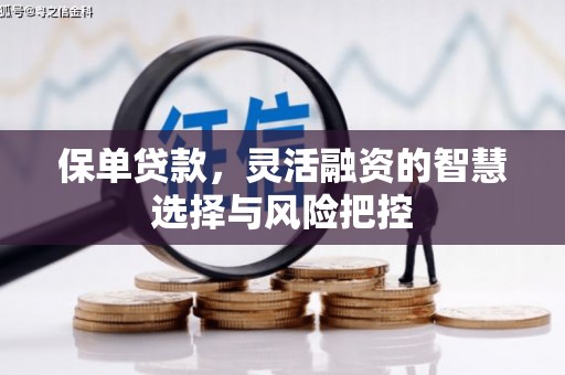 正镶白旗保单贷款，灵活融资的智慧选择与风险把控