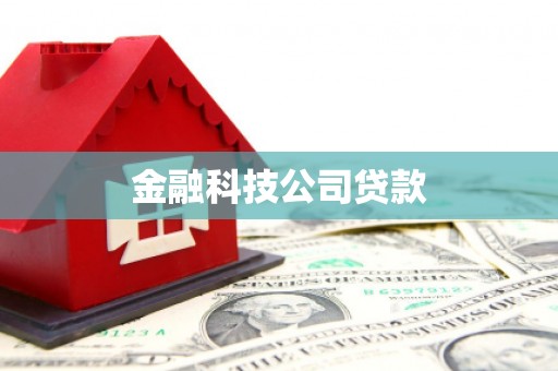 正镶白旗金融科技公司贷款