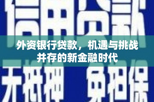 正镶白旗外资银行贷款，机遇与挑战并存的新金融时代