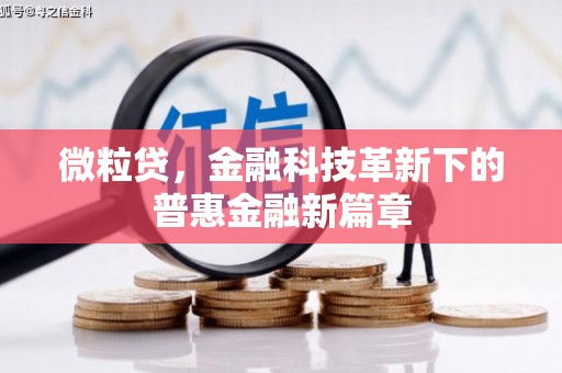 正镶白旗微粒贷，金融科技革新下的普惠金融新篇章