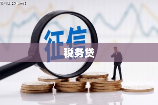 正镶白旗税务贷