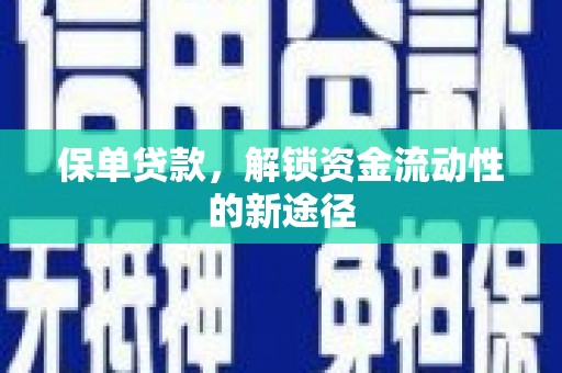 正镶白旗保单贷款，解锁资金流动性的新途径
