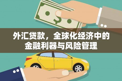 正镶白旗外汇贷款，全球化经济中的金融利器与风险管理
