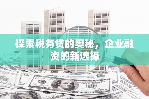 正镶白旗探索税务贷的奥秘，企业融资的新选择
