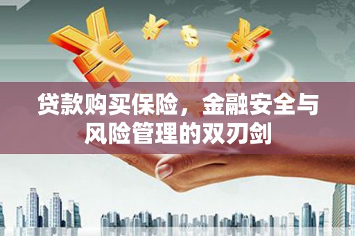 正镶白旗贷款购买保险，金融安全与风险管理的双刃剑
