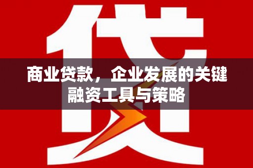 正镶白旗商业贷款，企业发展的关键融资工具与策略