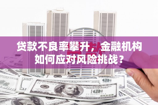 正镶白旗贷款不良率攀升，金融机构如何应对风险挑战？