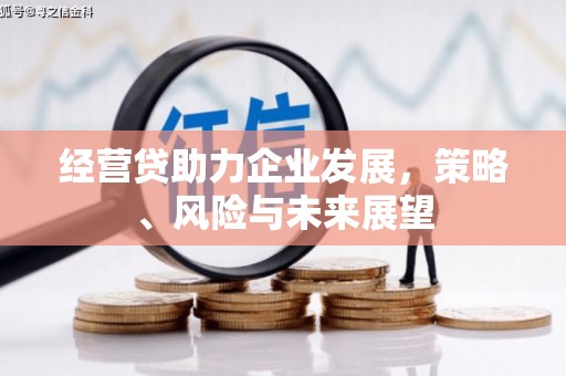 正镶白旗经营贷助力企业发展，策略、风险与未来展望