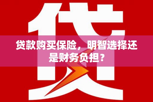正镶白旗贷款购买保险，明智选择还是财务负担？