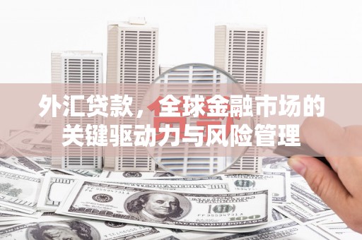 正镶白旗外汇贷款，全球金融市场的关键驱动力与风险管理