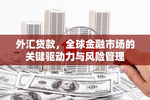 正镶白旗外汇贷款，全球金融市场的关键驱动力与风险管理