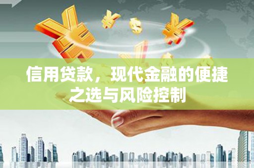正镶白旗信用贷款，现代金融的便捷之选与风险控制