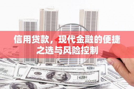 正镶白旗信用贷款，现代金融的便捷之选与风险控制