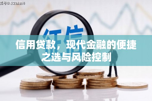 正镶白旗信用贷款，现代金融的便捷之选与风险控制
