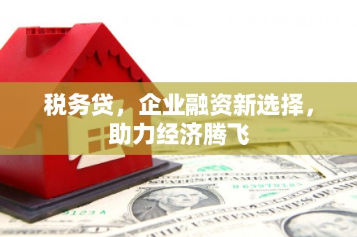 正镶白旗税务贷，企业融资新选择，助力经济腾飞