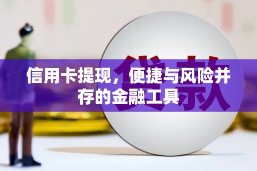 正镶白旗信用卡提现，便捷与风险并存的金融工具