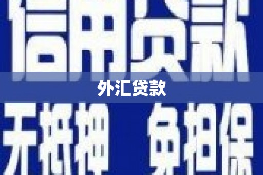 正镶白旗外汇贷款