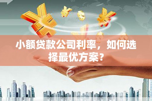 正镶白旗小额贷款公司利率，如何选择最优方案？