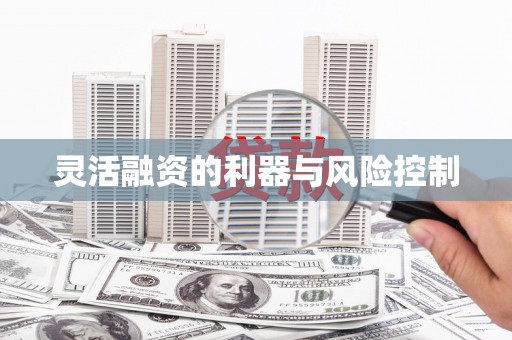 正镶白旗灵活融资的利器与风险控制
