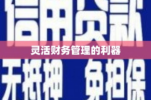正镶白旗灵活财务管理的利器