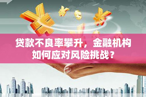 正镶白旗贷款不良率攀升，金融机构如何应对风险挑战？