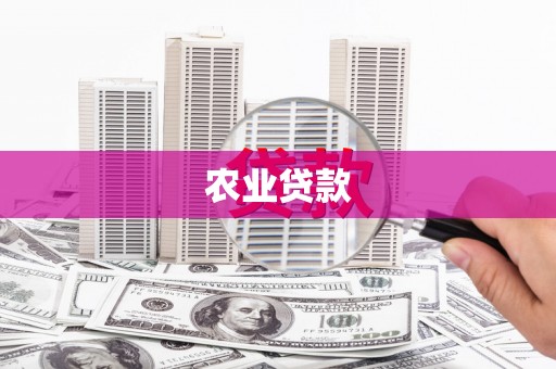 正镶白旗农业贷款