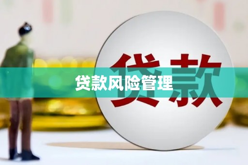 正镶白旗贷款风险管理