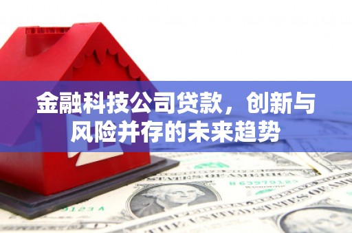 正镶白旗金融科技公司贷款，创新与风险并存的未来趋势