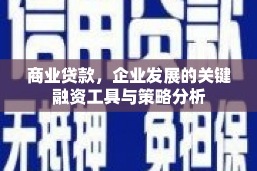 正镶白旗商业贷款，企业发展的关键融资工具与策略分析