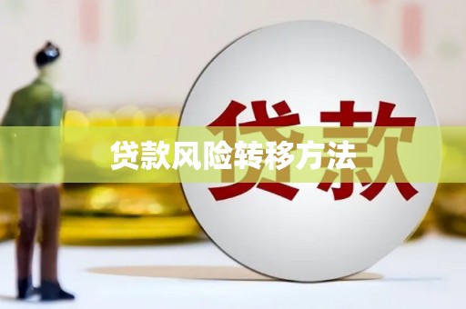 正镶白旗贷款风险转移方法