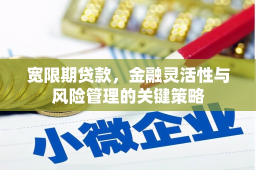 正镶白旗宽限期贷款，金融灵活性与风险管理的关键策略