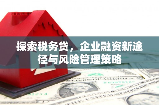 正镶白旗探索税务贷，企业融资新途径与风险管理策略