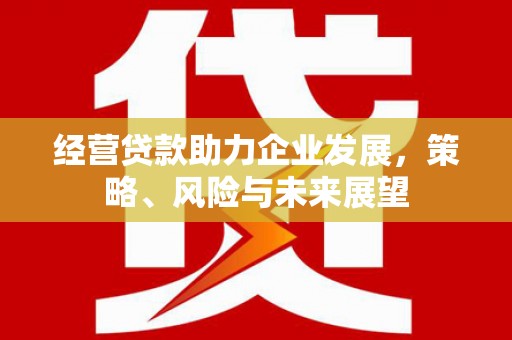 正镶白旗经营贷款助力企业发展，策略、风险与未来展望