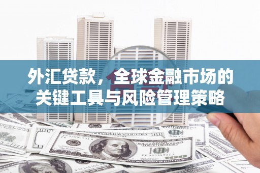 正镶白旗外汇贷款，全球金融市场的关键工具与风险管理策略