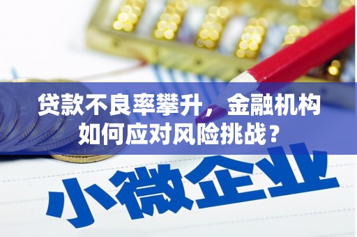 正镶白旗贷款不良率攀升，金融机构如何应对风险挑战？