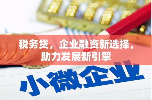 正镶白旗税务贷，企业融资新选择，助力发展新引擎