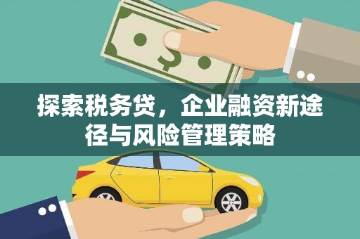 正镶白旗探索税务贷，企业融资新途径与风险管理策略