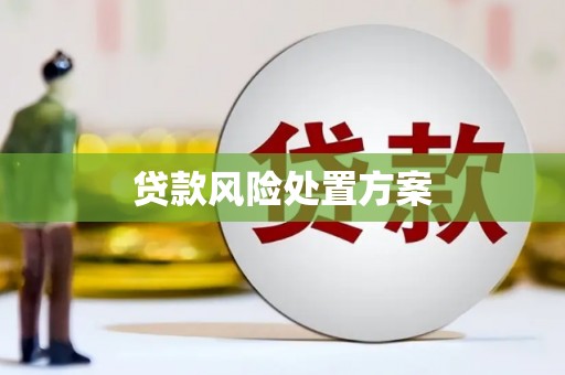 正镶白旗贷款风险处置方案