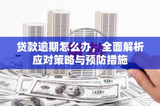 正镶白旗贷款逾期怎么办，全面解析应对策略与预防措施
